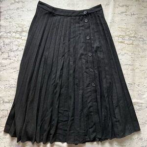 Zara Pleated Button Front Maxi Skirt  Long School girl